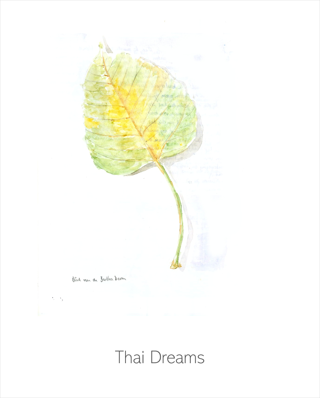 Thai Dreams